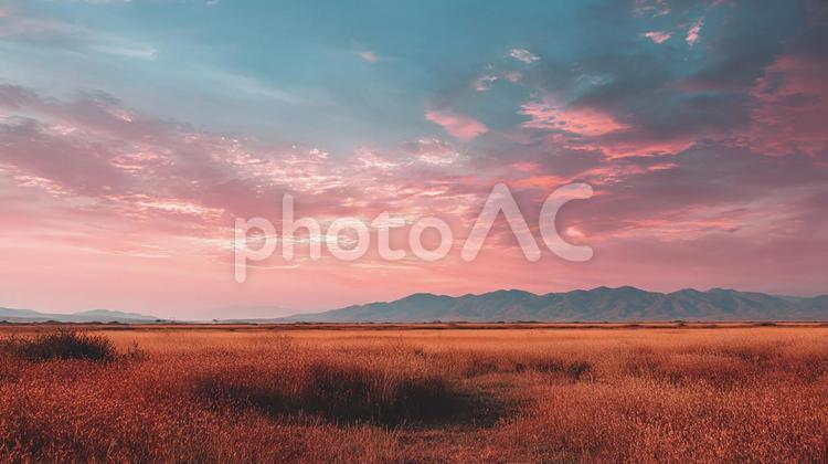 穏やかな夕焼け空と広がる野原の風景 草原,野原,夕焼けの写真素材