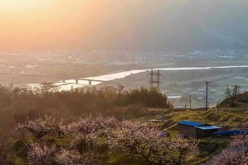 春霞の中を流れる川と千曲市を染める朝焼け 千曲,川,棚田の写真素材