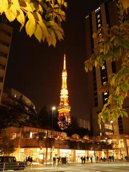 夜のR1港区麻布台ヒルズ下から東京タワー 夜,夜景,ライトアップの写真素材