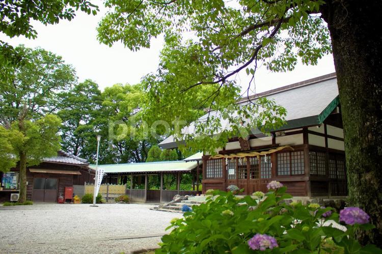 [愛知県]一宮市の御裳神社 日本,愛知県,一宮市の写真素材