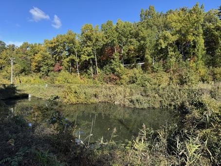 晩秋の池ノ入溜池（長野県塩尻市） 池ノ入溜池,秋,晩秋の写真素材
