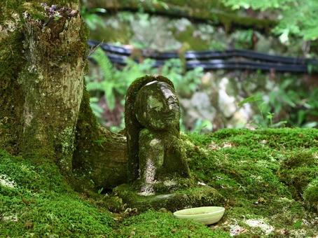 京都大原三千院　おさな六地蔵 大原三千院,寺,癒しの写真素材