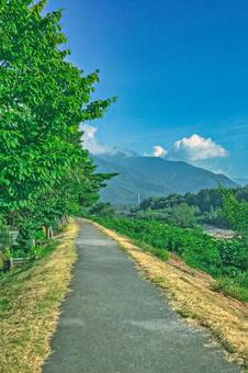 雲がたなびく山々を望む道 風景,自然,道の写真素材