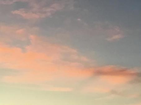 ピンクの夕方 ピンクの夕方の写真