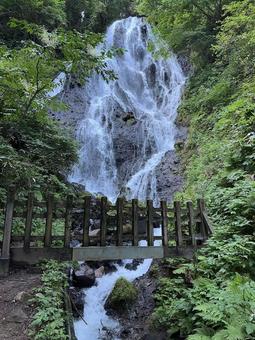 滝 滝の写真