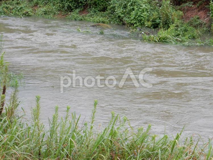 【風景写真】増水した川 河川,川,増水の写真素材