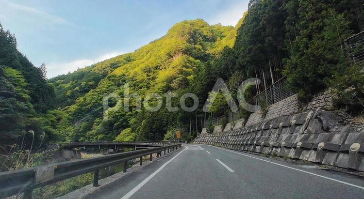 山岳ドライブ 山道,山の風景,道路の写真素材