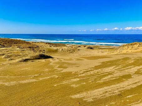鳥取砂丘 鳥取,鳥取砂丘,鳥取県の写真素材