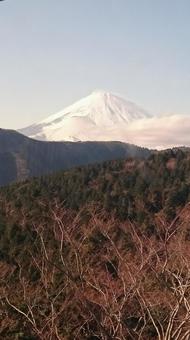 富士山 富士山の写真