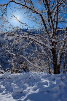 250320秋山郷清水川原、結東 250320秋山郷清水川原、結東の写真