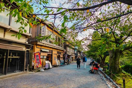 【石川】兼六園 文化財指定庭園 【石川】兼六園 文化財指定庭園 兼六園,石川,文化財指定庭園の写真素材