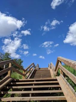 青空と木造の外階段 階段,外,無人の写真素材