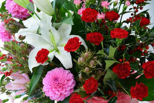 カーネーションなど花たくさん リューカデンドロン,ウィンターベリー,クリスマスホーリーの写真素材