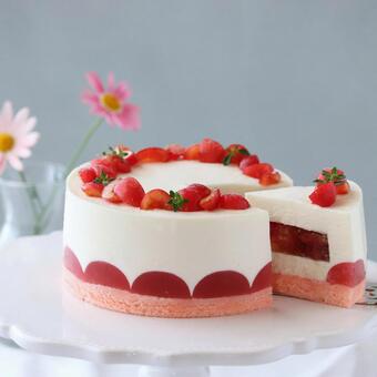 さくらんぼのレアチーズケーキ さくらんぼ,ジュレ,スイーツの写真素材