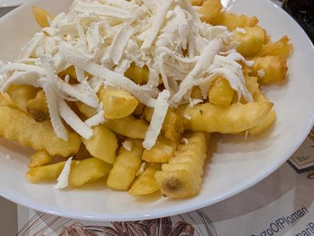 フライドポテト フライドポテト,白チーズ,温かいの写真素材