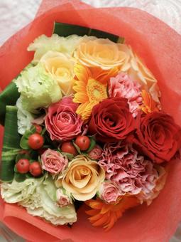 華やかでカラフルな花束 赤系 華やかでカラフルな花束 赤系 花束,赤,花の写真素材