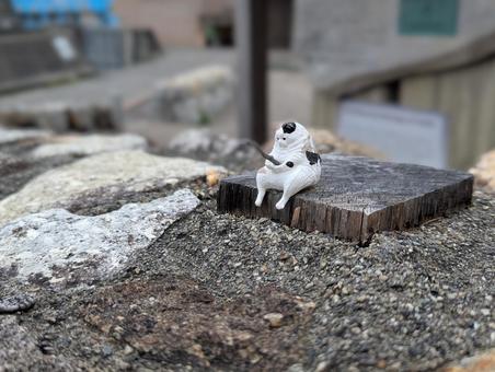 大王灯台への道すがら 三重県,大王灯台,猫の写真素材