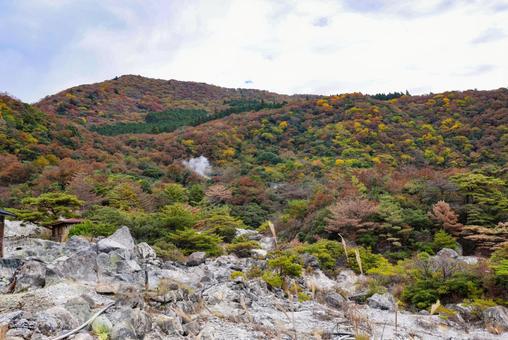雲仙地獄と紅葉した山 雲仙,雲仙地獄,温泉の写真素材