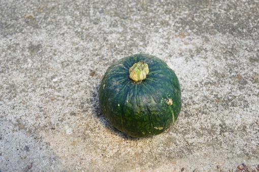 小玉かぼちゃ 小玉かぼちゃ 小玉,かぼちゃ,野菜の写真素材