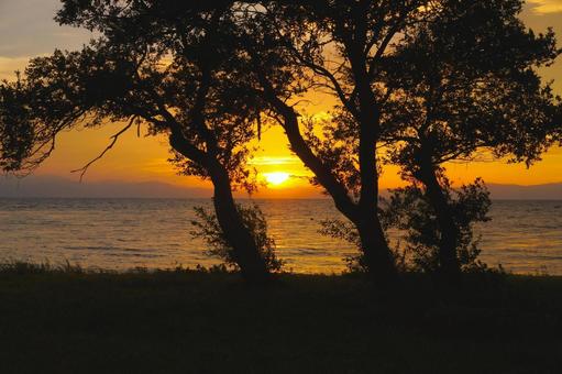近江湖の辺の道から見る夕日③ 滋賀県長浜 近江湖の辺の道から見る夕日③ 滋賀県長浜 夕日,夕陽,夕景の写真素材