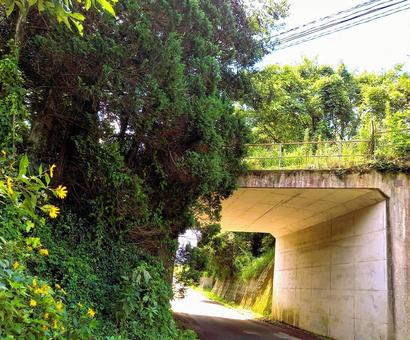 田舎のトンネル 田舎のトンネル トンネル,農道,アンダーパスの写真素材