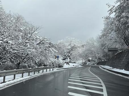 雪景色の道 雪景色の道 雪景色,冬景色,道の写真素材
