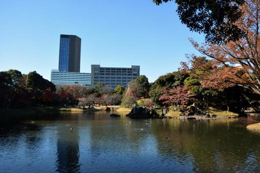 小石川後楽園の風景 小石川後楽園の風景の写真