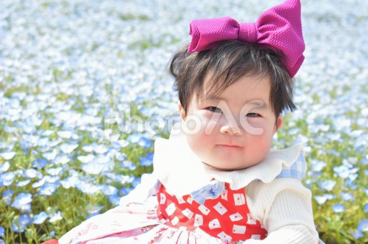 笑顔とネモフィラ 子ども,子供,屋外の写真素材
