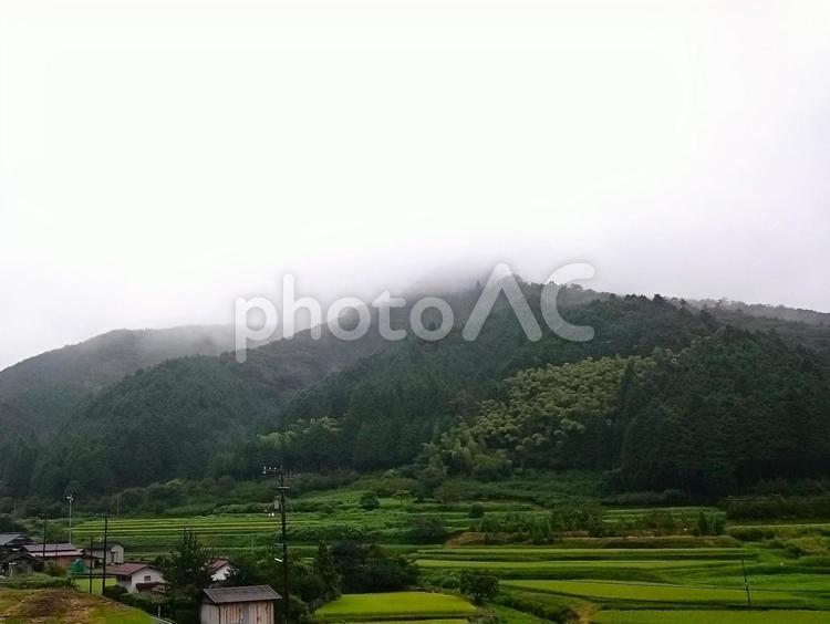 田舎の風景 自然,風景,曇りの写真素材