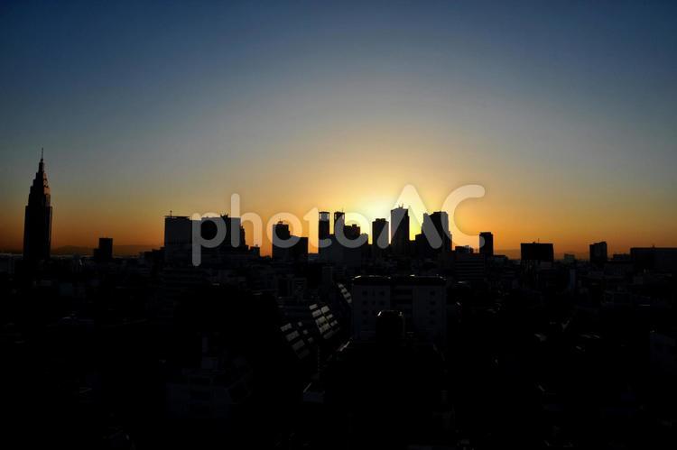 新宿夕景 夕景,シルエット,新宿の写真素材