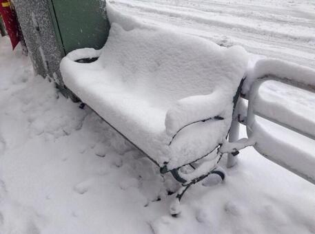 雪が積もったベンチ 雪が積もったベンチの写真