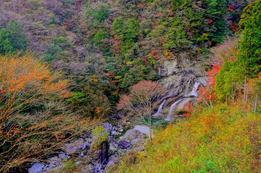 晩秋の瀬戸川渓谷 高知,高知県,瀬戸川渓谷の写真素材