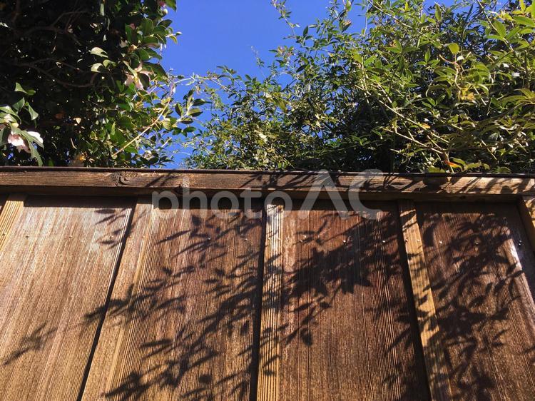 日本家屋の壁と影 壁,影,背景の写真素材