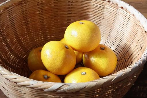 冬ミカン 冬,ミカン,くだものの写真素材