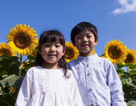 ひまわりと青空と子供たち ひまわりと青空と子供たちの写真