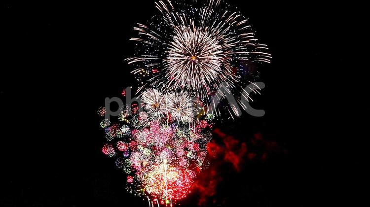 夏の夜を彩る  打ち上げ花火 花火,打ち上げ花火,夏の夜空の写真素材