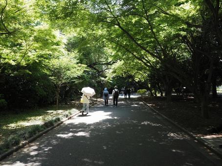 緑の広場 春・夏のイメージ 緑の広場 春・夏のイメージの写真