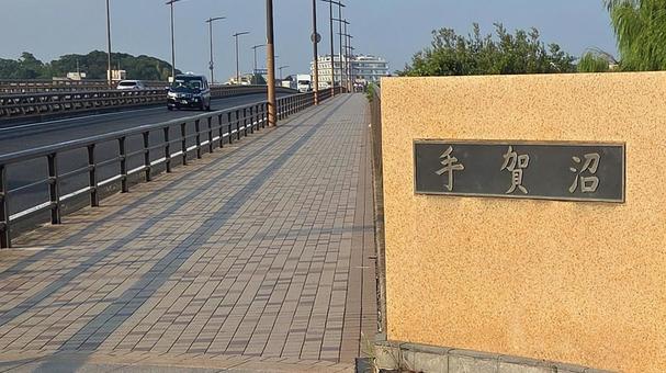 千葉県手賀沼8 千葉県手賀沼8の写真