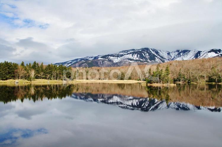 知床五湖の一湖と知床連山（北海道） 知床,知床五湖,一湖の写真素材