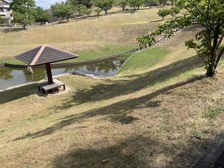 神崎緑地公園 神崎緑地公園の写真