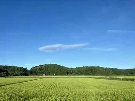 能登の田園風景 能登の田園風景 田園風景,能登,夏の写真素材