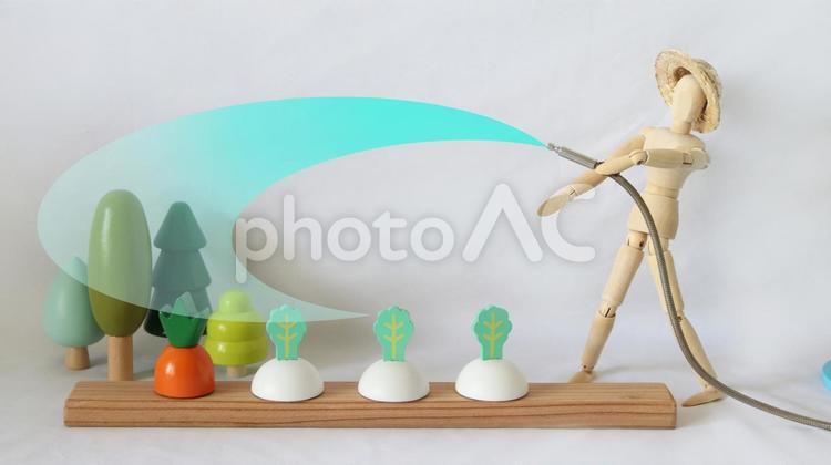 畑に水を撒く 畑作,農作業,家庭菜園の写真素材