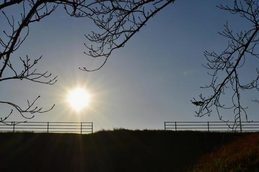 太陽と土手と小枝 太陽,日,空の写真素材