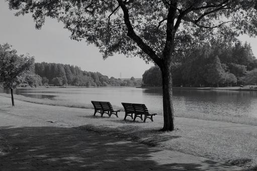 水元公園 水元公園の写真