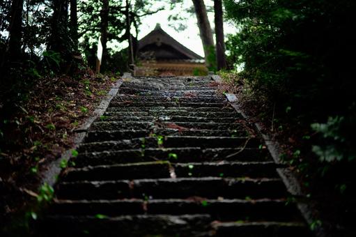 苔むした石段 苔むした石段,石段,日本の写真素材