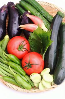 夏野菜 夏野菜 夏野菜,野菜,食材の写真素材