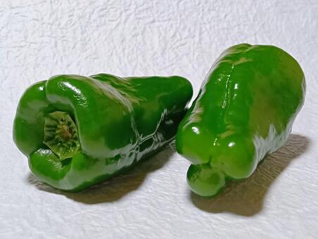 ピーマン ピーマン,野菜,食材の写真素材