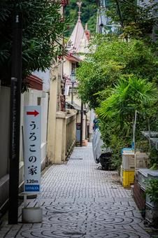 兵庫県　神戸市　北野異人館街の風景 兵庫,兵庫県,神戸市の写真素材
