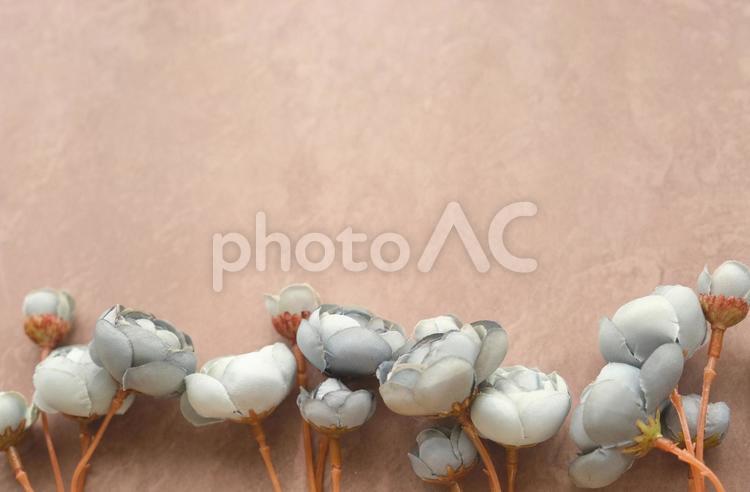 花のフレーム 花,フレーム,カードの写真素材