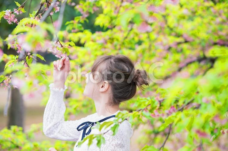 木々に癒される若い女性 リラックス,グリーン,女性の写真素材